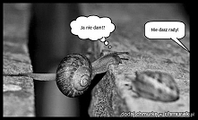 Zaprasza na bloga dziś otwarcie ;3