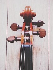 violin