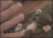 GIF
