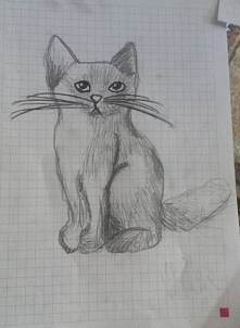 Wiem że nie jest on za ładny