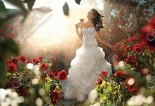 Alfred Angelo Wedding Dresses Style 225 Belle