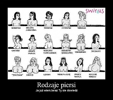 A wszystkie staniki w sieci...