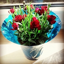 Kwiaty na dzień kobiet od t...