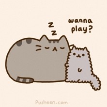 Pusheen <3
