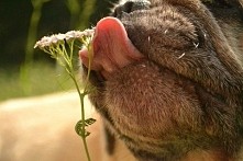 jesteś tym co jesz :D