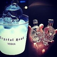 Vodka - Czaszki <3