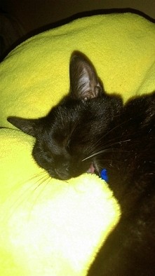 śni mi się, że coś jem...