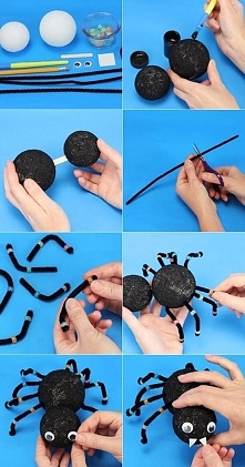 Za pomocą takiego pajączka można zastraszyć rodzeństwo ;)