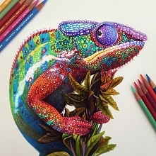 by: Morgan Davidson
Tyle ko...