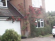 Anglia i wszechobecne tam w...