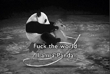 ;D panda