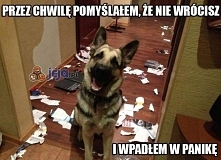 ale dobrze że już jesteś. 5...