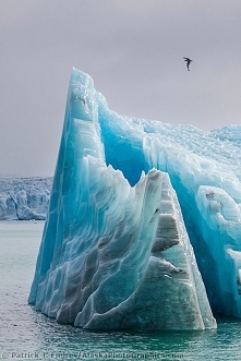 Glacier icebergs, Svalbard,...