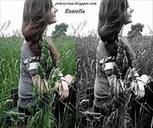 pokrzywaa.blogspot.com
pokrzywaa.blogspot.com

Zapraszam na mojego bloga. Dopiero zaczynam i będzie mi bardzo miło jeśli ujrzę nowy komentarz albo i nawet ujrzę  nowego obserwat...