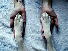 Bo przyjaciela masz jednego...