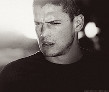 Wentworth Miller - Prison Break