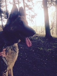 Tina ❤️ słodziak mój !!