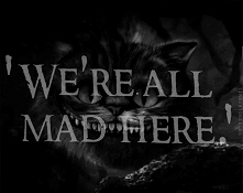 uwielbiam tego kota ^.^