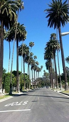 California. Jestem w Ameryc...