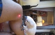 cute... :)
