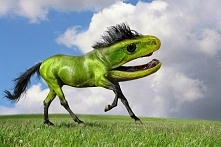 nie wiem co o tym myśleć