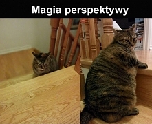 Och... Ta perspektywa xD