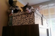 i tu mi jest wygodnie :-)