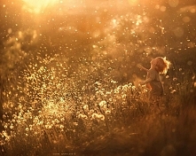 Elena Shumilova