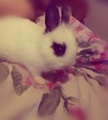 nowa członkini rodziny ;)