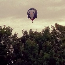 Pingwiny atakują!!!!