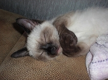 aniołek :*