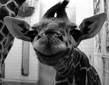 uśmiech proszę ! :)