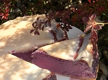 Szuszugotuje.blog.onet.pl