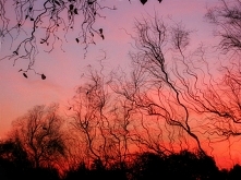 Mój tumblr: lady-bvb.tumblr.com