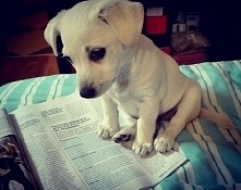 Koniec czytania, idziemy na spacer :)