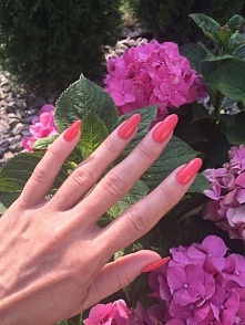 Tym razem lakier hubrydowy ...