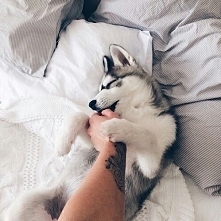 jaki słodziak ❤️❤️❤️