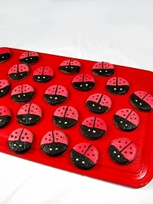 Czekoladowo – Pomarańczowe Ciasteczka Biedronki