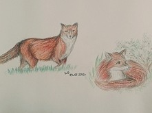 Liski... nie wyszły tak jak chciałam, ale są :-P