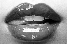 ms-vivente.blogspot.com