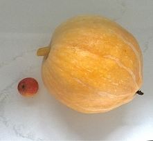 sezon dyniowy czas zacząć ;-)