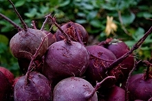 Chcesz zwiększyć swoją wytrzymałość? Jedz buraki!