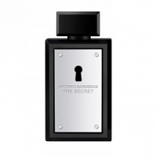 ANTONIO BANDERAS THE SECRET