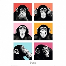 CHIMPANZEE