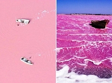 Jezioro Reba w Senegalu

Głębia różu w Afryce. Brzmi dziwnie? Jak się okazuje, senegalskie bakterie potrafią zdziałać naprawdę wiele. Różową wodę w mającym trzy km kwadratowe je...