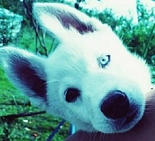 Z  uśmiechem witamy cię co rano . Rozumiemy się jak nikt inny. Zawsze mnie pocieszasz   To po prostu przyjaźń. 


Scooby <3