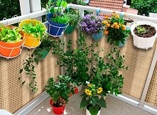 Osłona balkonowa - RattanArt - RD 08