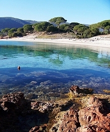Plage de Palombaggia - Corsica