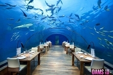 restauracja podwodna