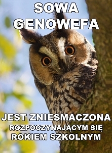 tak jak ja
